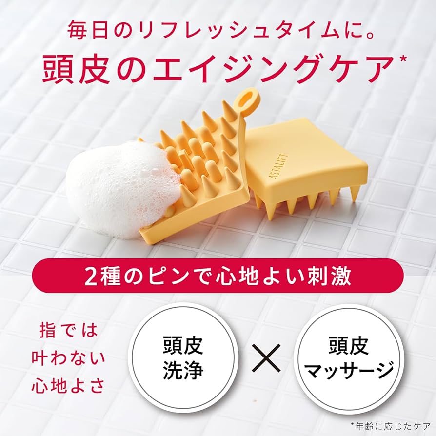 スカルドゥAshopi産 母岩付きクリアポイント スカルドゥAshopi産 母岩付きクリアポイント